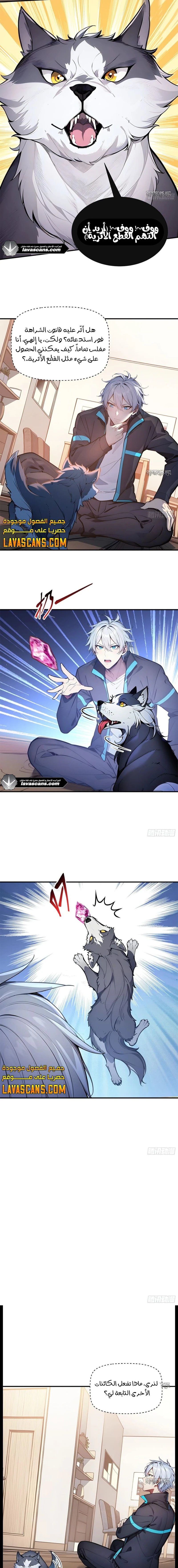 Chapter Image 3